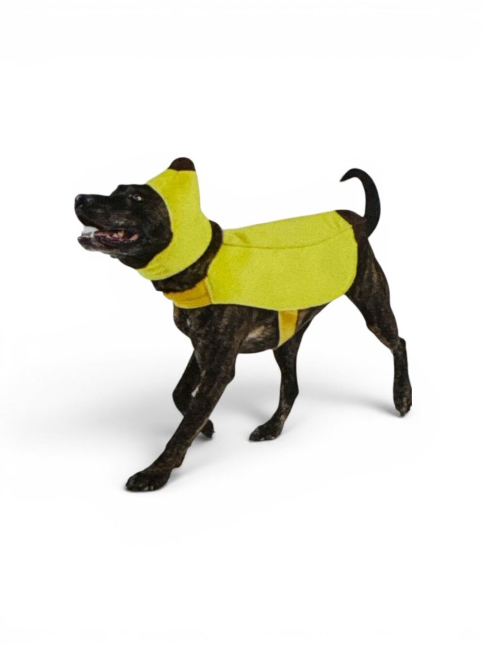 Hyde & Eek! Large Dog Banana Costume Vest & Headpiece Halloween Pet Outfit